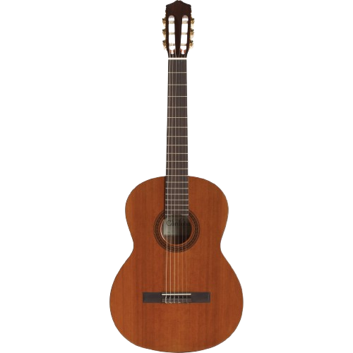 Gitar (Guitar)